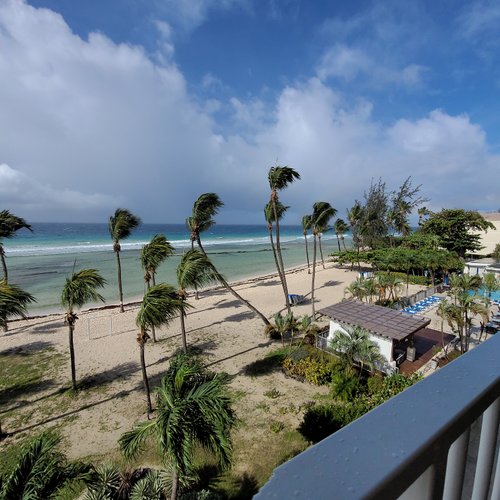 coconut court beach hotel barbados reviews