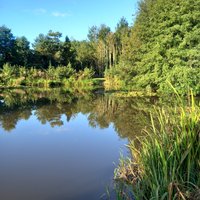 DOCKLOW POOLS - All You Need to Know BEFORE You Go