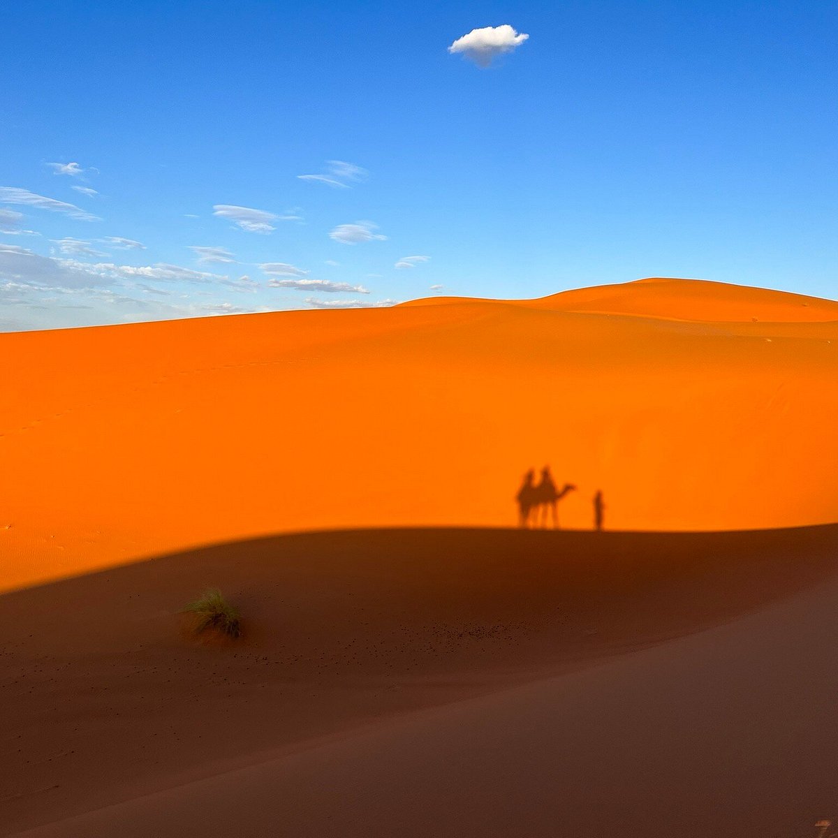 beautiful desert morning - Picture of Bike Blast Las Vegas - Tripadvisor