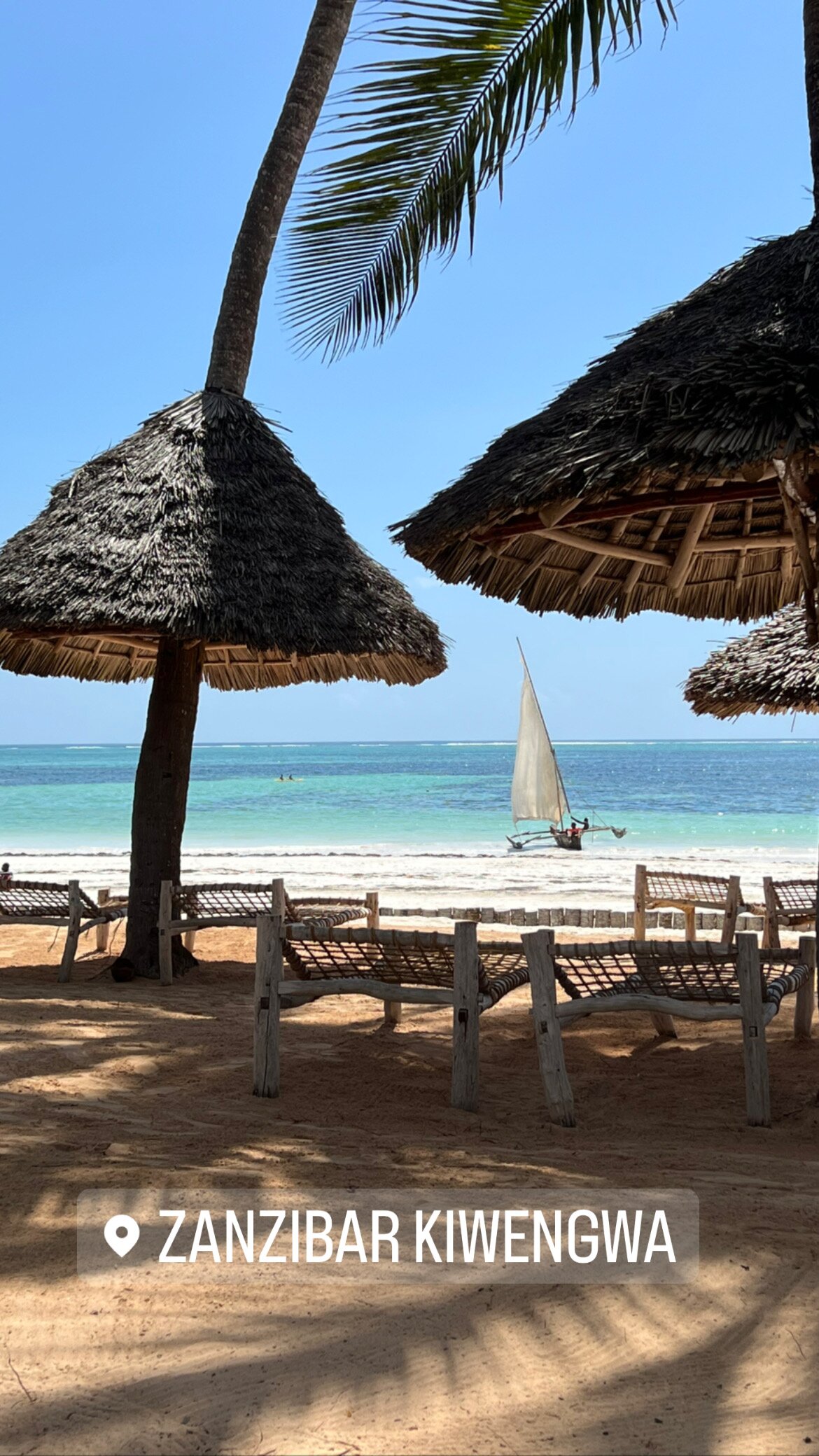 VERACLUB ZANZIBAR VILLAGE Resort (Kiwengwa, Tanzania): Prezzi 2022 E ...