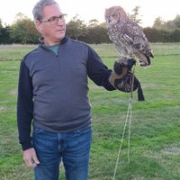 THE HAWKING CENTRE (Boughton Lees) - All You Need to Know BEFORE You Go