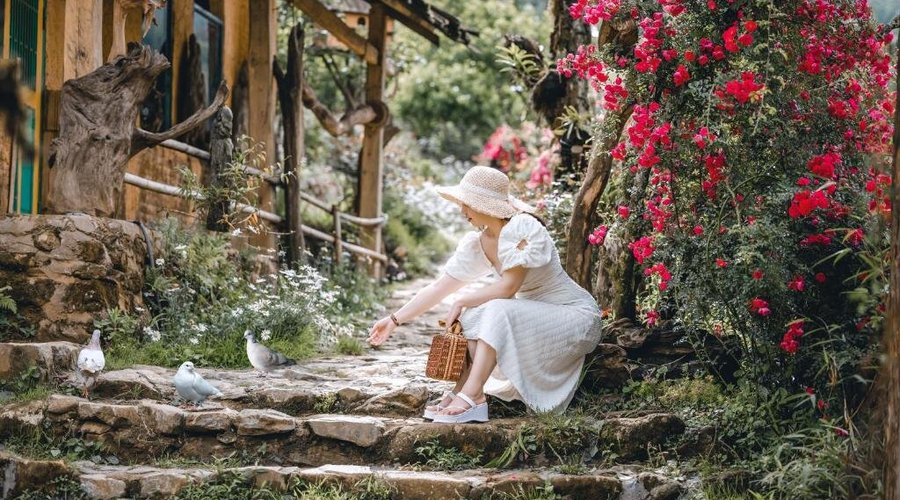 H'mông Cổ Trấn Sapa