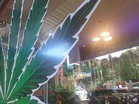 FULL GAS Cannabis Flower at Puff Puff in Phangnga - Weed in Thailand