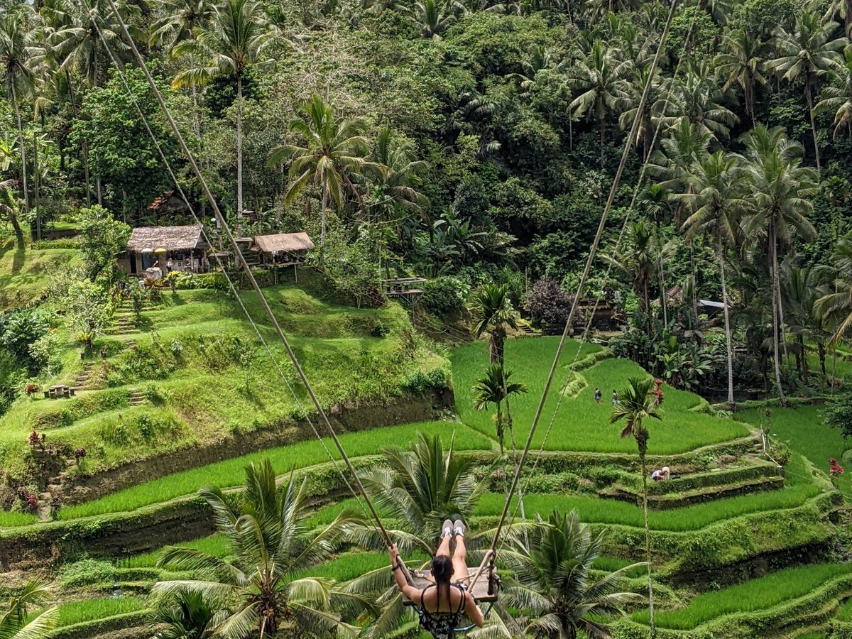 Bali Ubud Tour - All You Need to Know BEFORE You Go (with Photos)