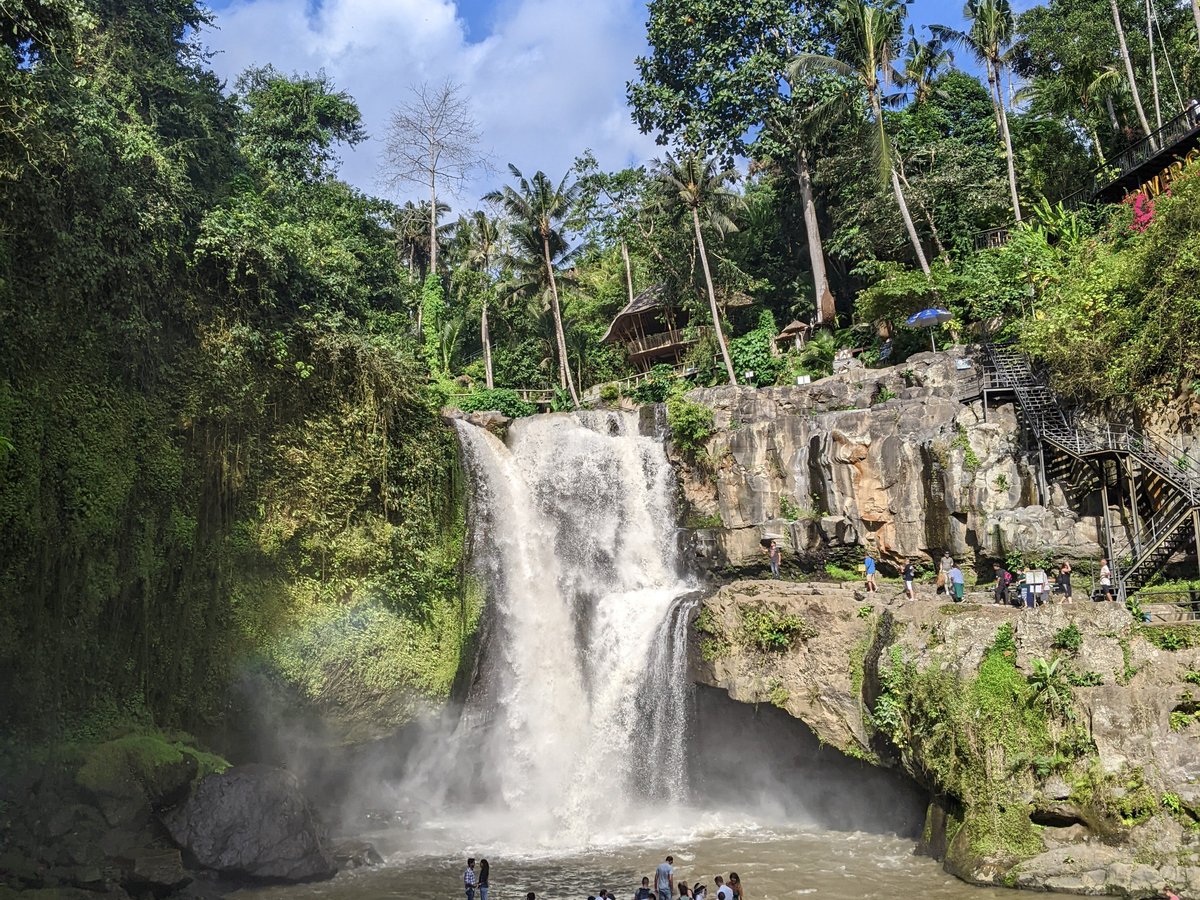 Bali Ubud Tour All You Need To Know Before You Go With Photos