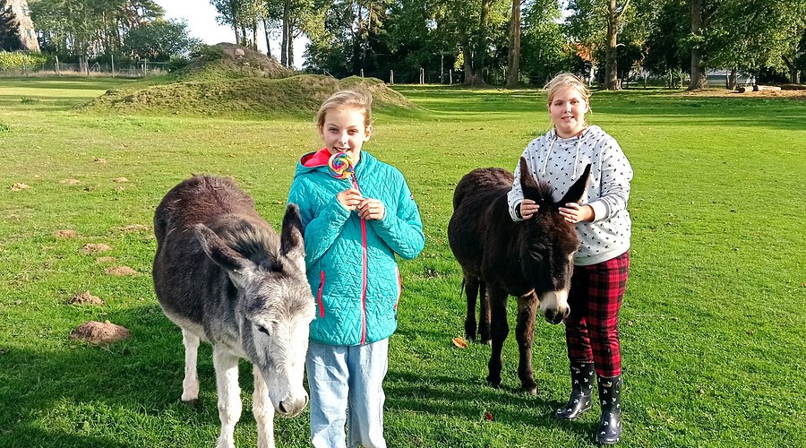 NATURERLEBNISPARK GRISTOW (2025) All You Should Know BEFORE You Go