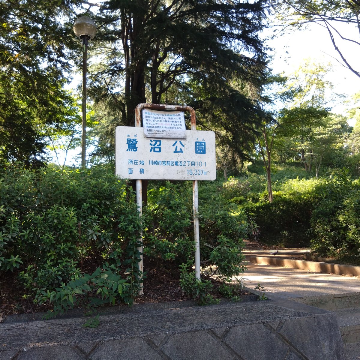 Saginuma Park Qué SABER antes de ir (ACTUALIZADO 2025) Tripadvisor