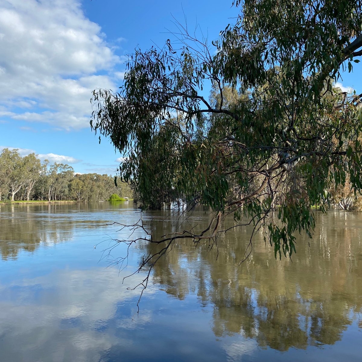 TERRY TINKLER RESERVE (Barmah) - All You Need to Know BEFORE You Go