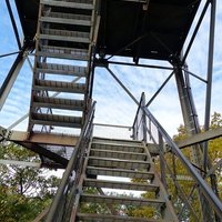 Dorset Scenic Lookout Tower - All You Need to Know BEFORE You Go