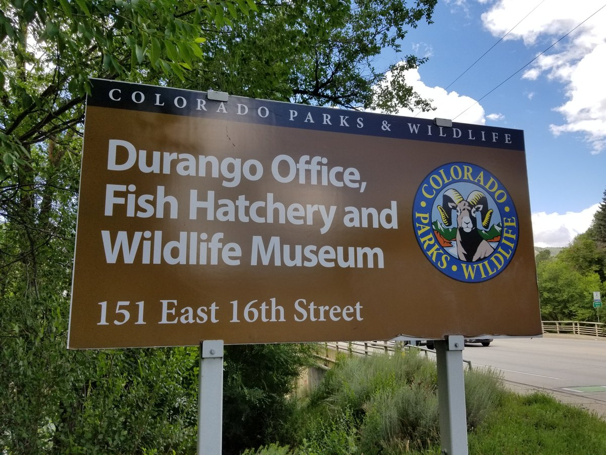 Durango fish hatchery and wildlife museum. Durango Colorado