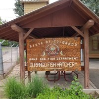 Durango Wildlife Museum and Fish Hatchery - All You Need to Know BEFORE ...