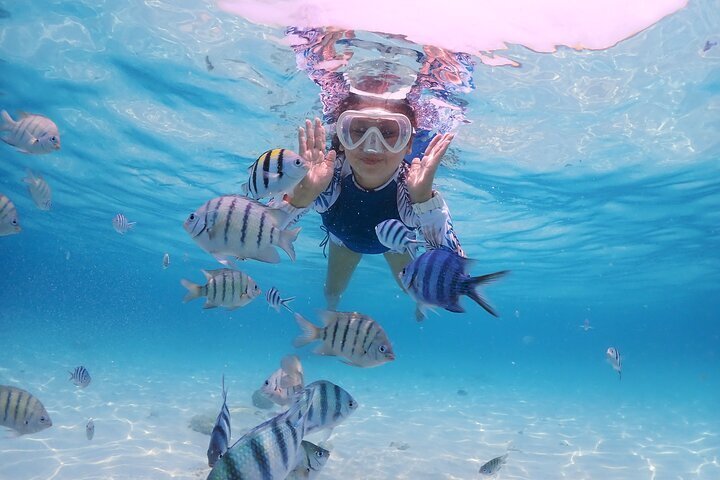 2023 Bali Best Snorkeling Blue Lagoon with Lunch & Guide