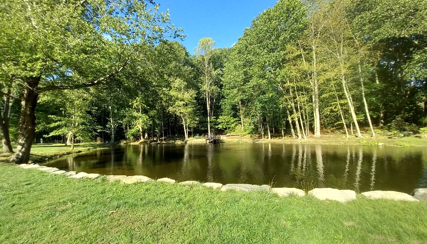 WAVENY PARK (2025) All You Need to Know BEFORE You Go (with Reviews)