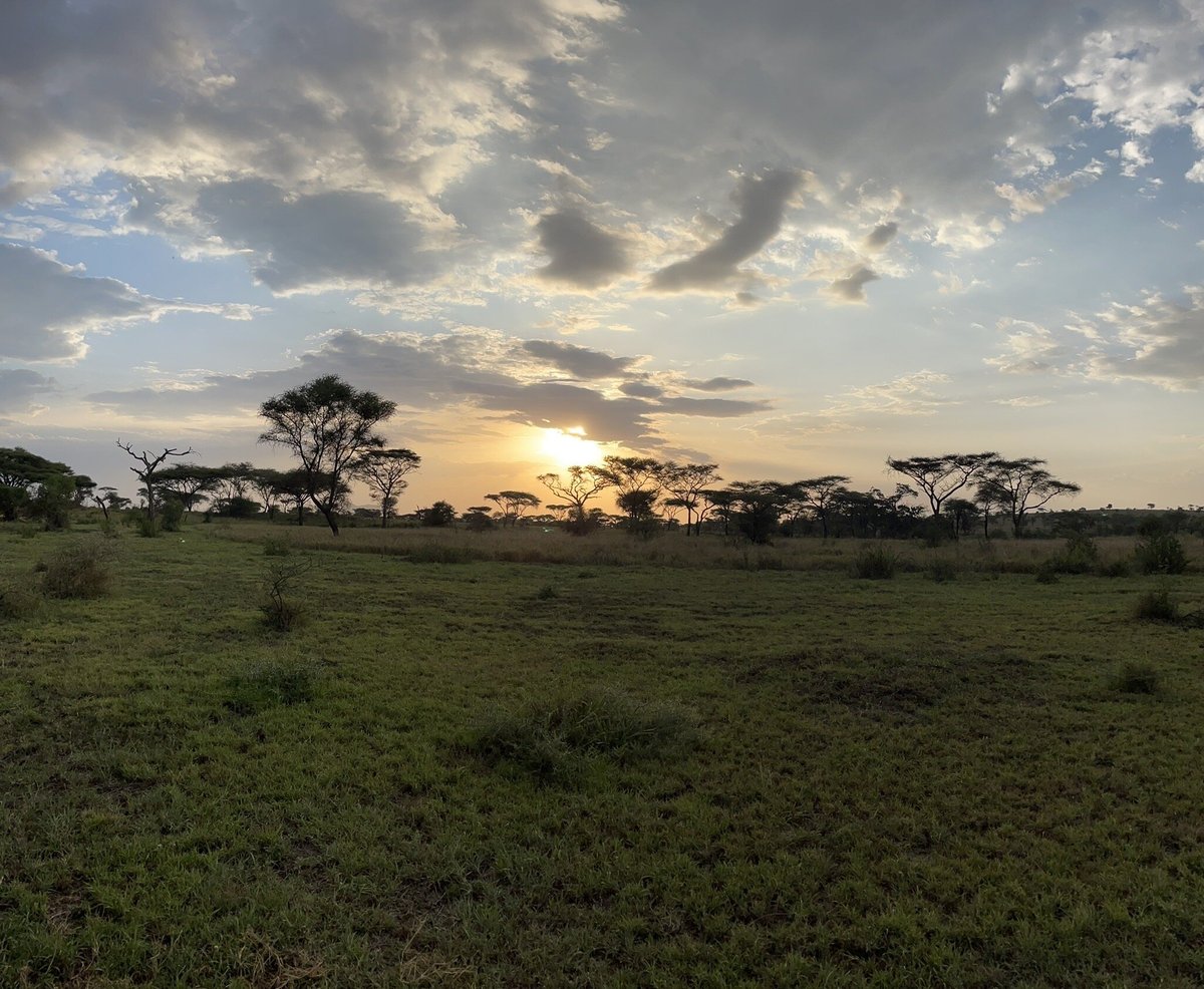 BAOBAB CENTRAL SERENGETI CAMP - Updated 2024 Campground Reviews ...