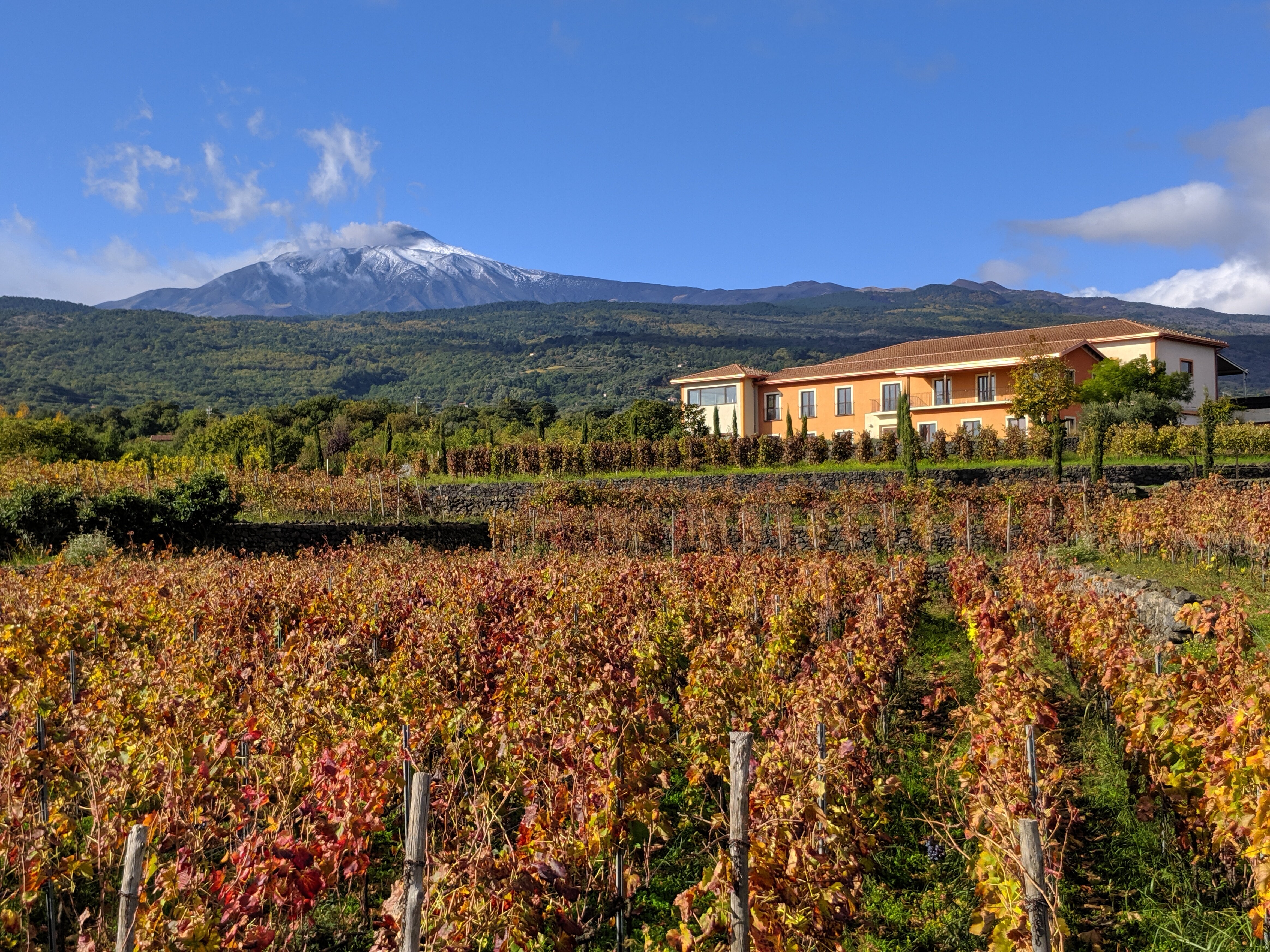 THE 5 BEST Linguaglossa Wineries Vineyards Updated 2024