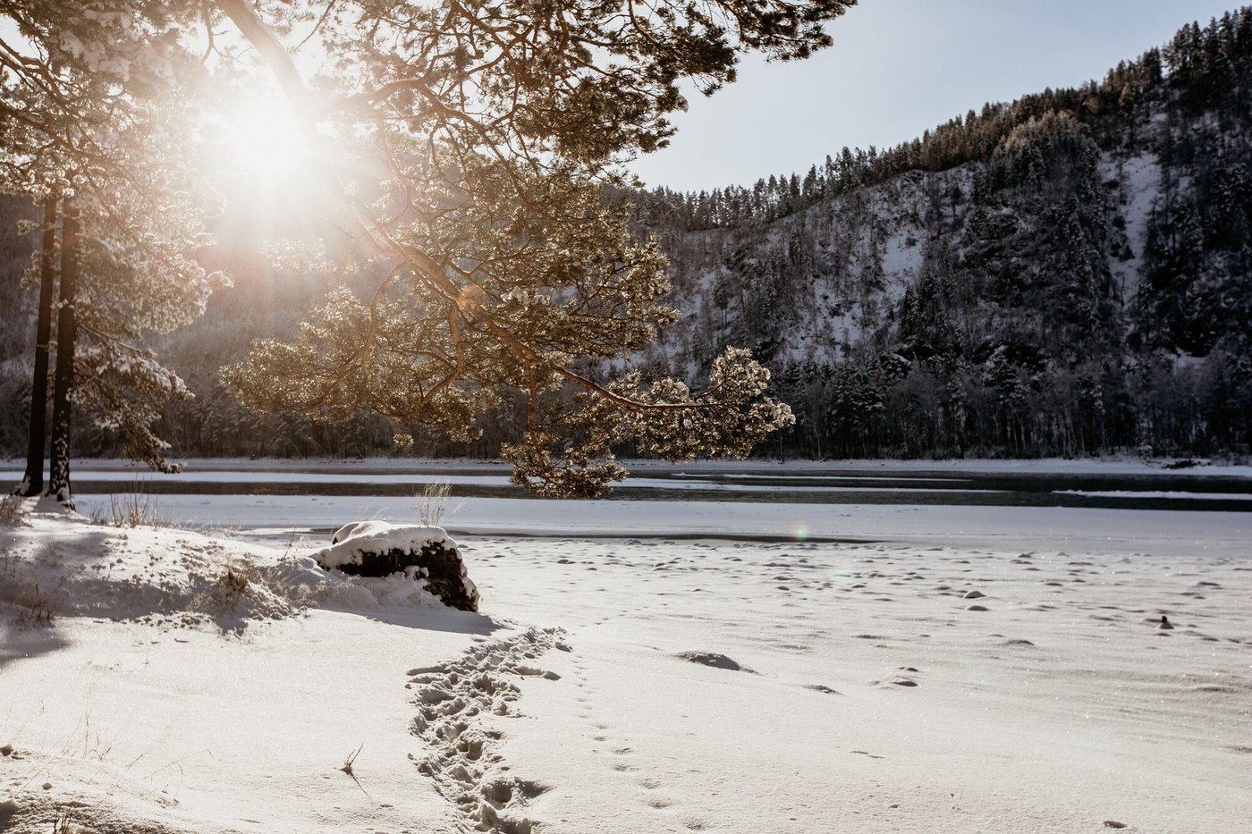 Чепош парк алтай фото