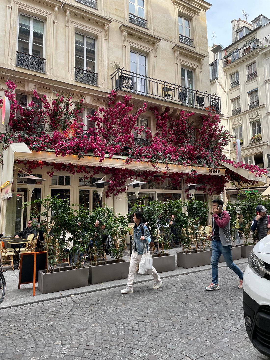 Cafe Blanchet Paris, Париж - фото ресторана - Tripadvisor