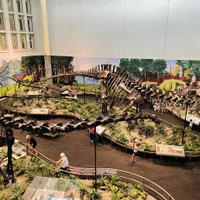 Carnegie Museum of Natural History (Pittsburgh) - All You Need to Know ...