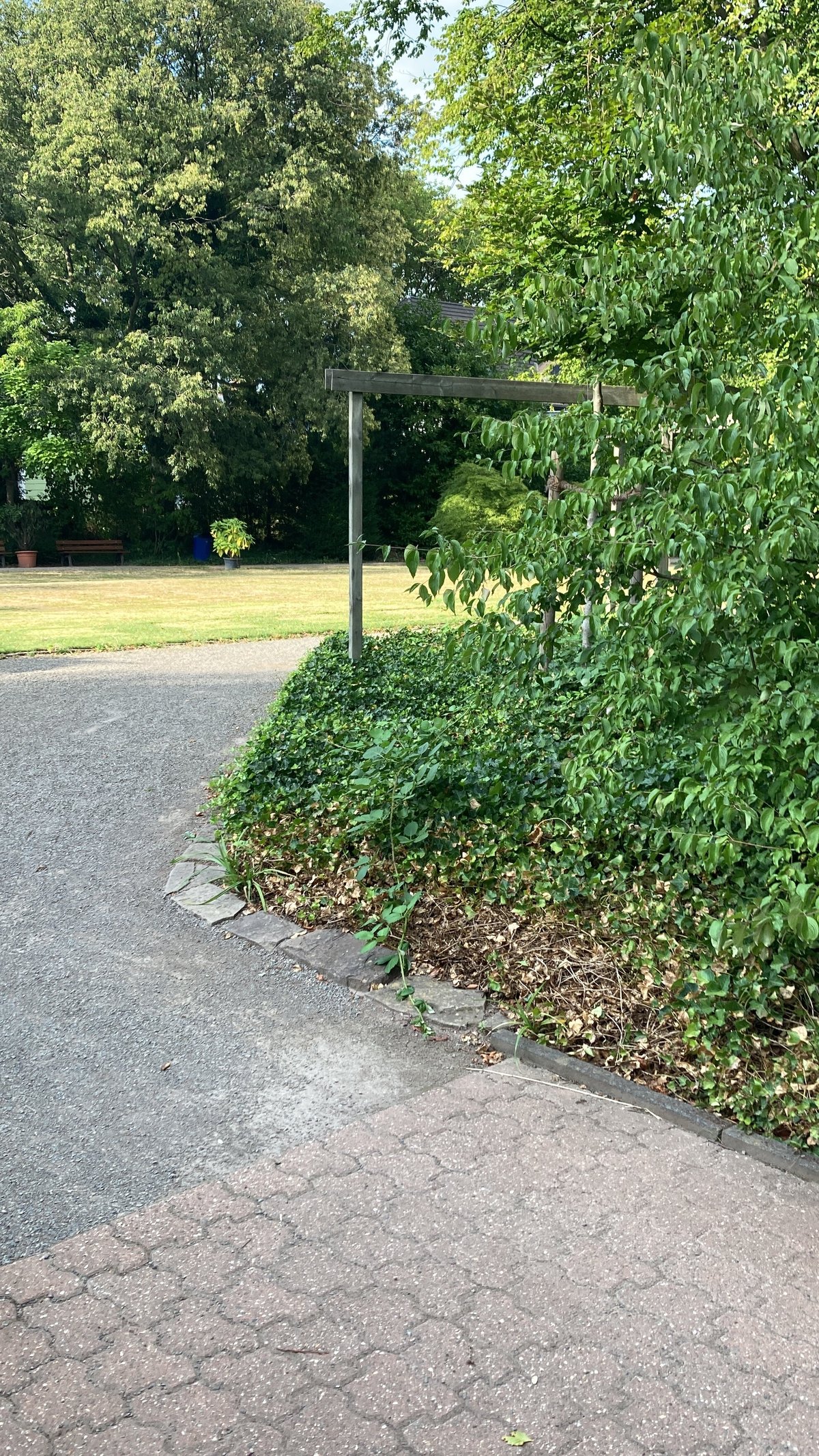 BOTANISCHER GARTEN HAMBORN (Duisburg) 2022 What to Know BEFORE You Go
