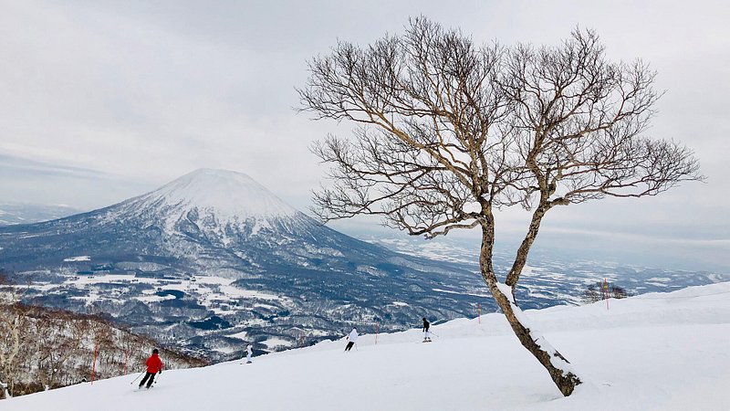 Pessoas a esquiar, bétulas brancas e o Monte Yōtei em Hokkaido, Japão