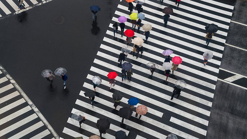 Pedestres com guarda-chuvas no cruzamento de Shibuya, Tóquio 
