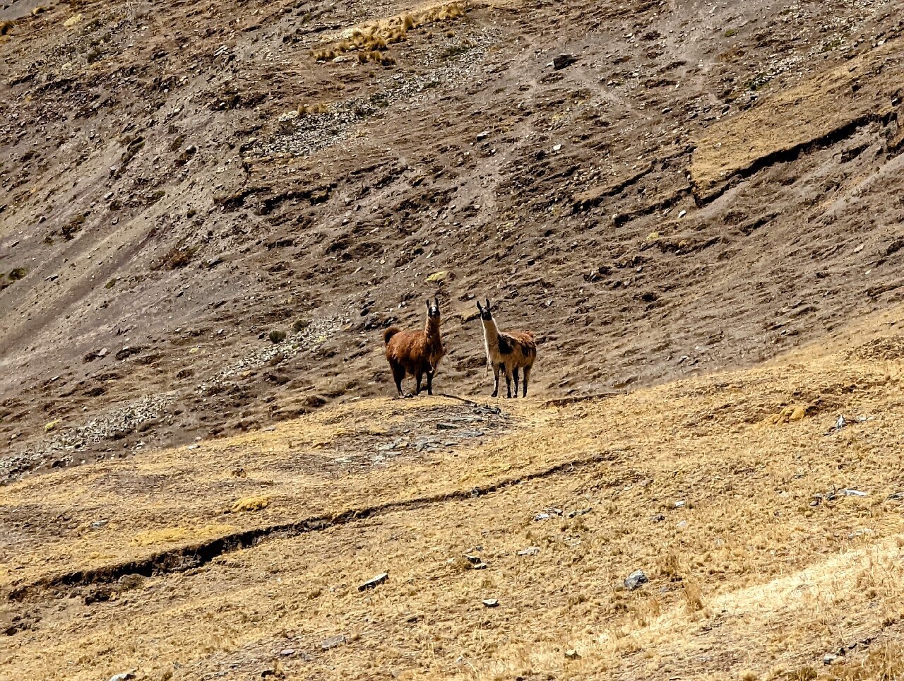 Ausangate Trek (Cusco) - Aktuell Für 2022 - Lohnt Es Sich? (Mit Fotos)