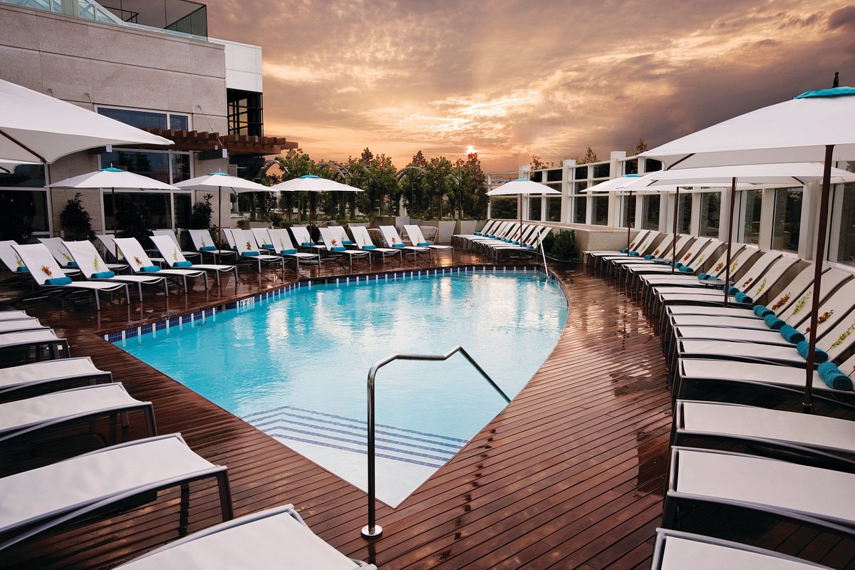 The Water Club Hotel at Borgata Pool Pictures & Reviews - Tripadvisor