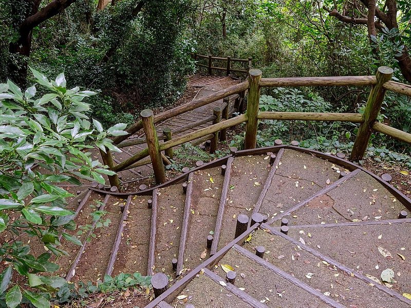 Stairs leading down a forested path in Monkey island
