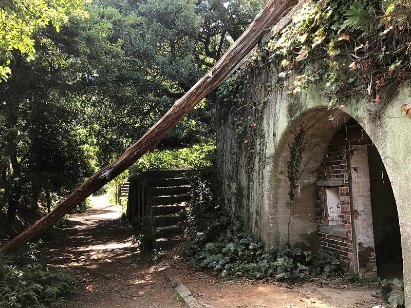 Tomogashima first path and an abandoned house