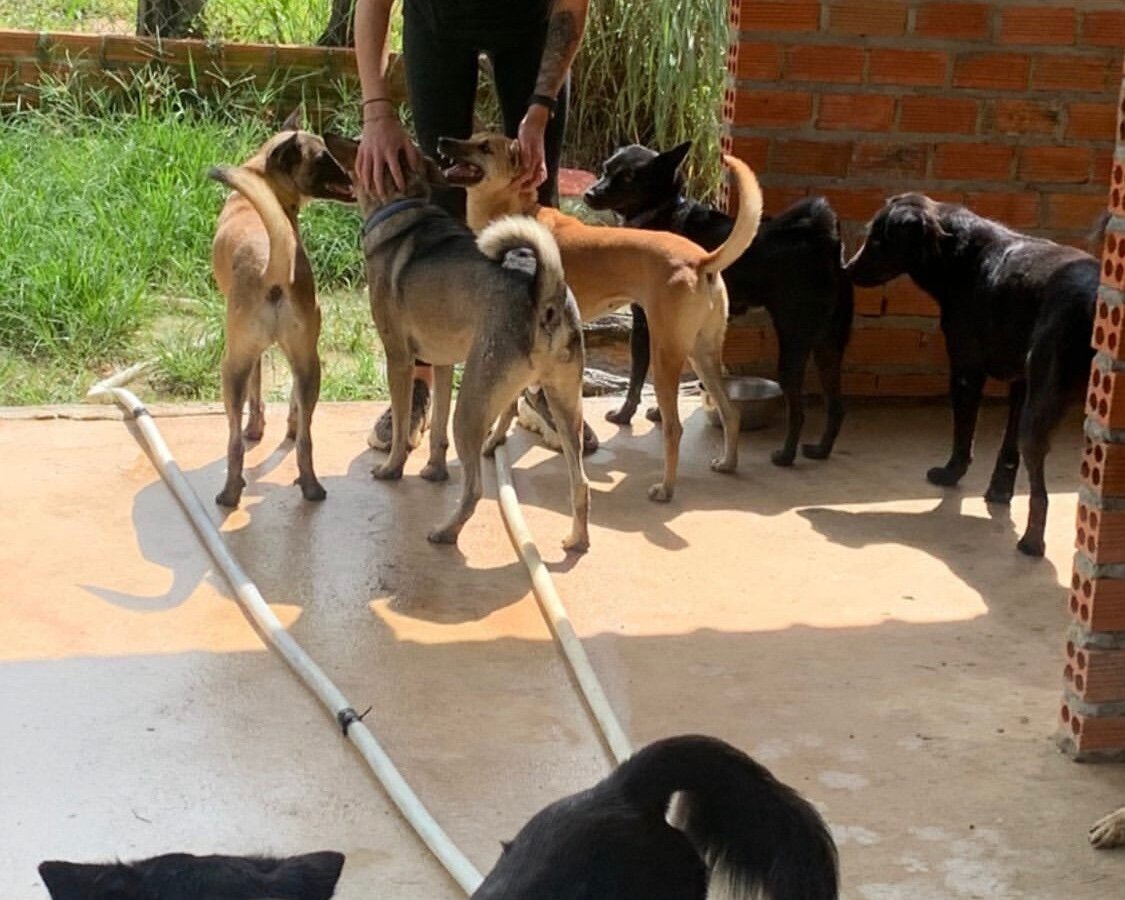 Animals Of Our World (Siem Reap) - All You Need to Know BEFORE You Go