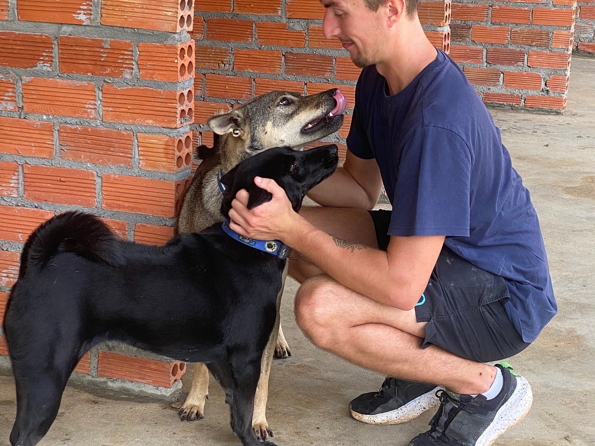 Animals Of Our World (Siem Reap) - All You Need to Know BEFORE You Go Animals Of Our World (Siem Reap) - All You Need to Know BEFORE You Go