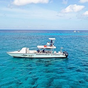Pro Dive International (Cozumel) - All You Need to Know BEFORE You Go