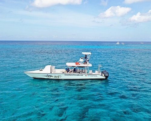 THE 10 BEST Cozumel Scuba Diving & Snorkeling (Updated 2023)