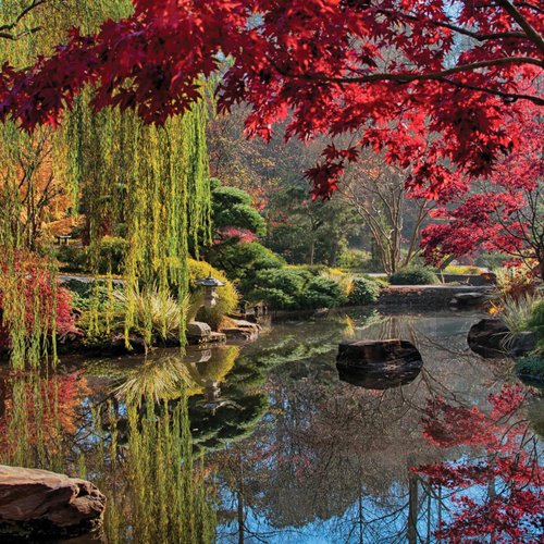 11 Japanese gardens in North America to visit in the fall