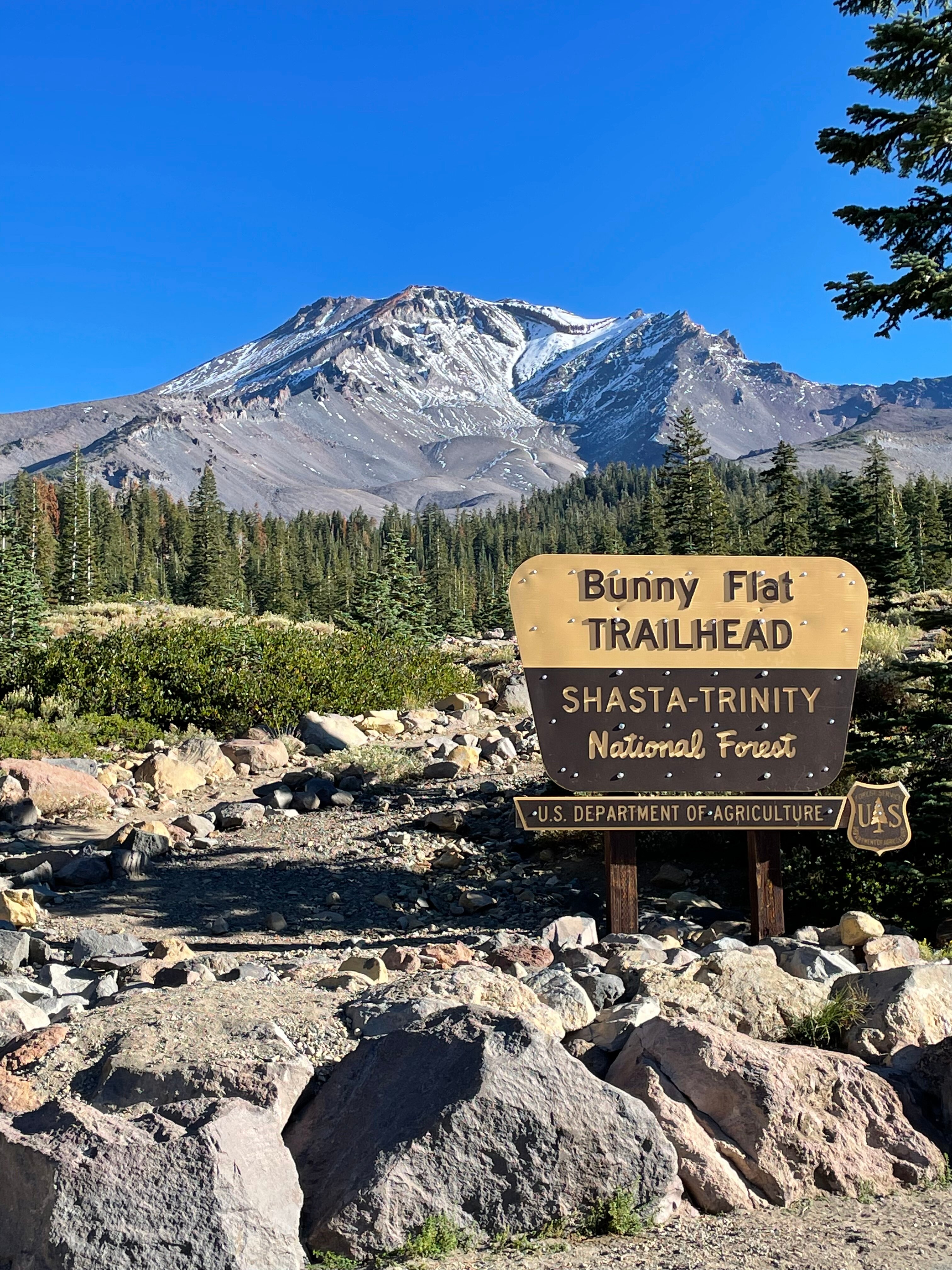 MOUNT SHASTA RESORT (California): Opiniones Y Precios