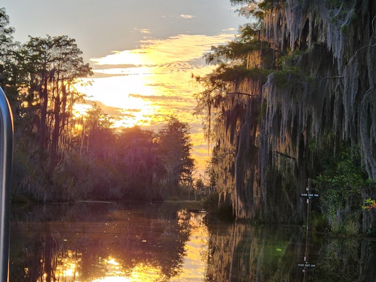 Okefenokee Adventures (Folkston) - All You Need to Know BEFORE You Go