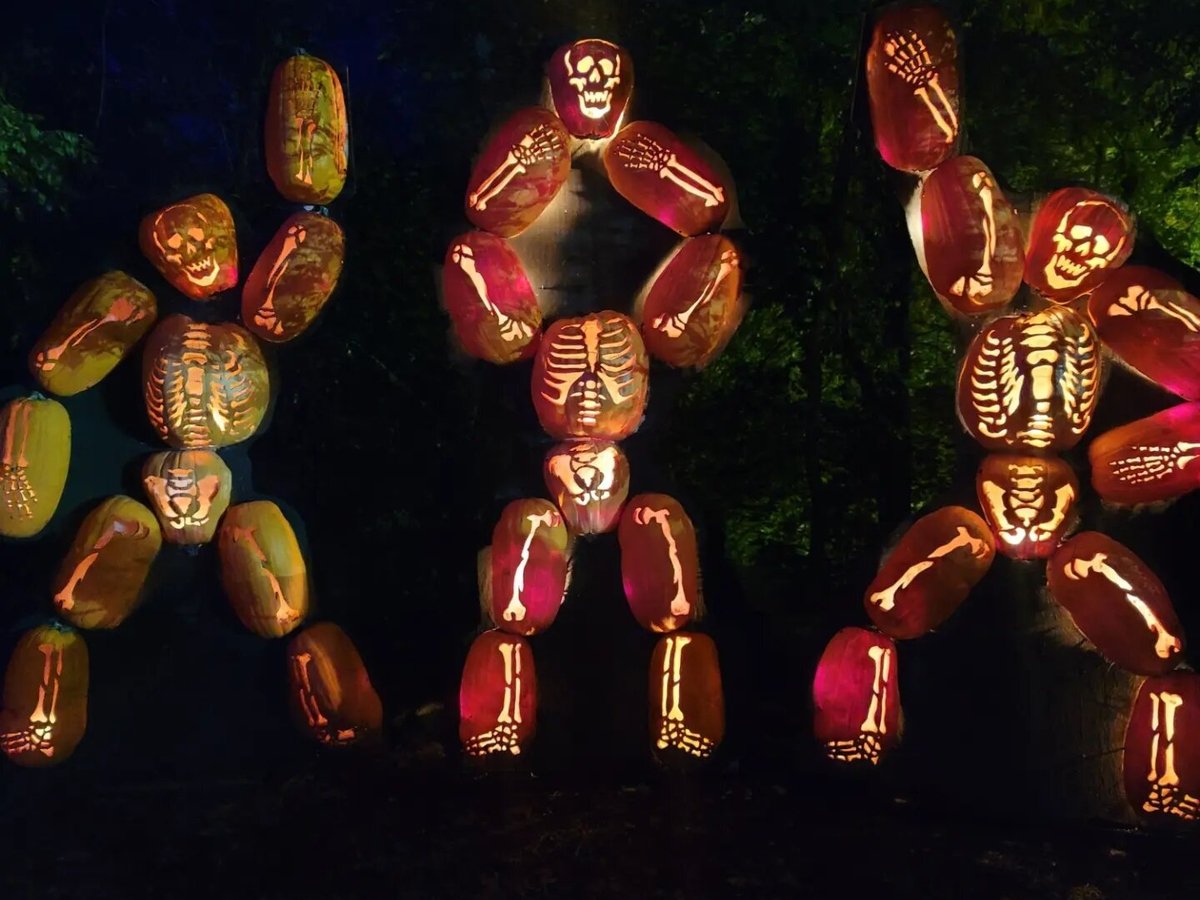 THE GREAT JACK O'LANTERN BLAZE (Croton on Hudson) - All You Need to ...