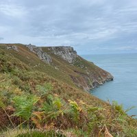 LUNDY ISLAND (Bideford) - All You Need to Know BEFORE You Go