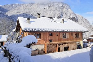 La reine des Alpes - Sixt-Fer-à-Cheval - Wood Floor Partners