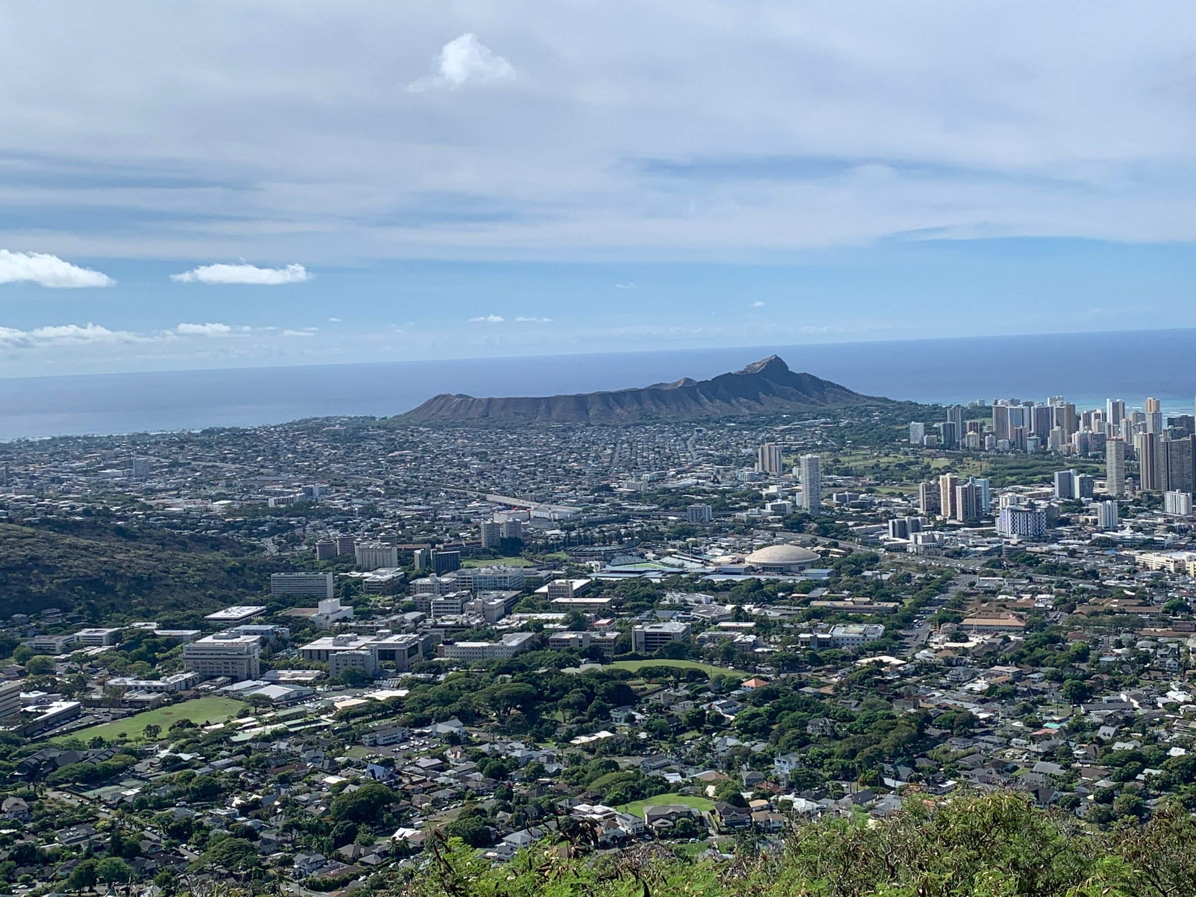 Tours By Locals (Honolulu) All You Need to Know BEFORE You Go