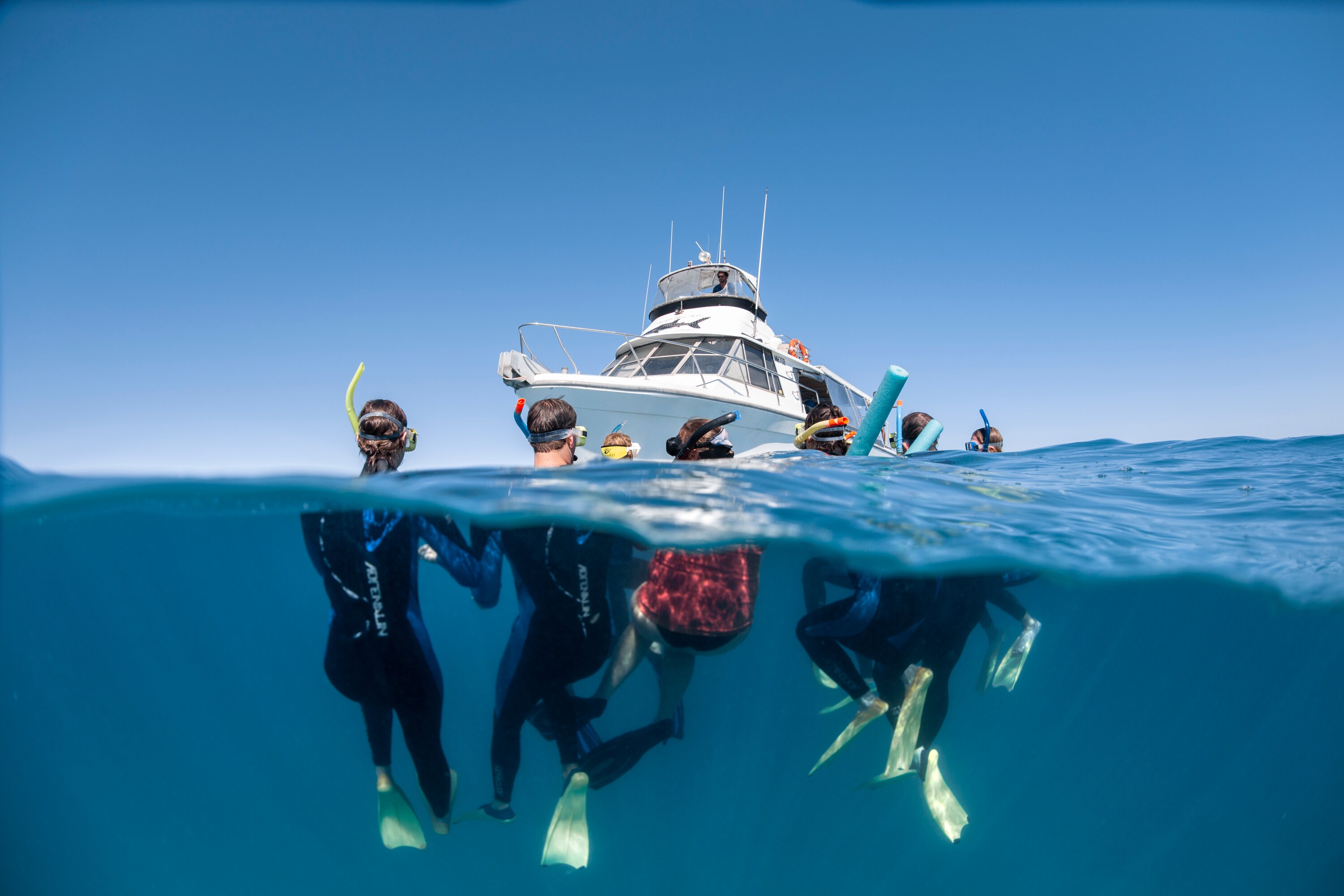 NINGALOO REEF DIVE (Coral Bay) - 2022 What To Know BEFORE You Go