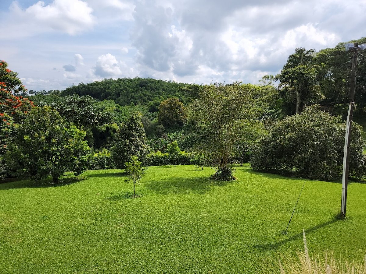 FINCA VILLA NORA - Prices & Hotel Reviews (Colombia/Quimbaya)