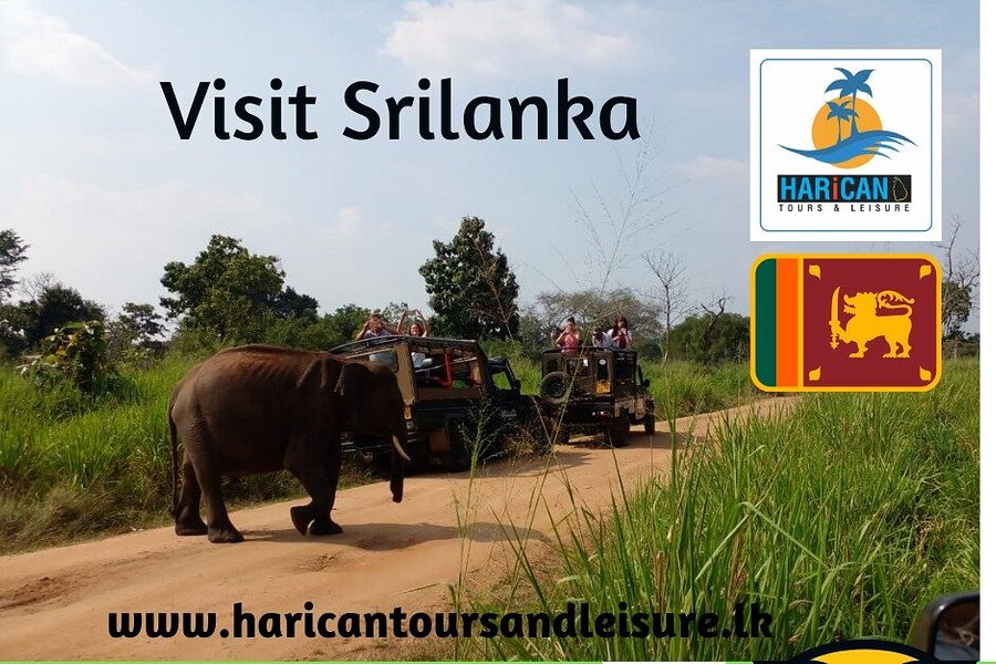 Harican Tours and Leisure image
