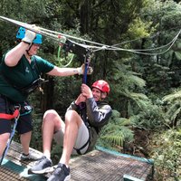 Rotorua Canopy Tours - All You Need to Know BEFORE You Go