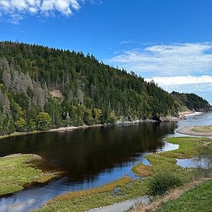 Gran río de salmones en el Fundy Trail Parkway de Nueva Brunswick