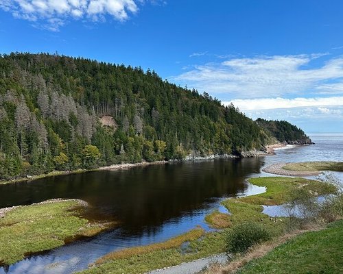 Saint John, bahía de Fundy, Nuevo Brunswick - Excursión a St