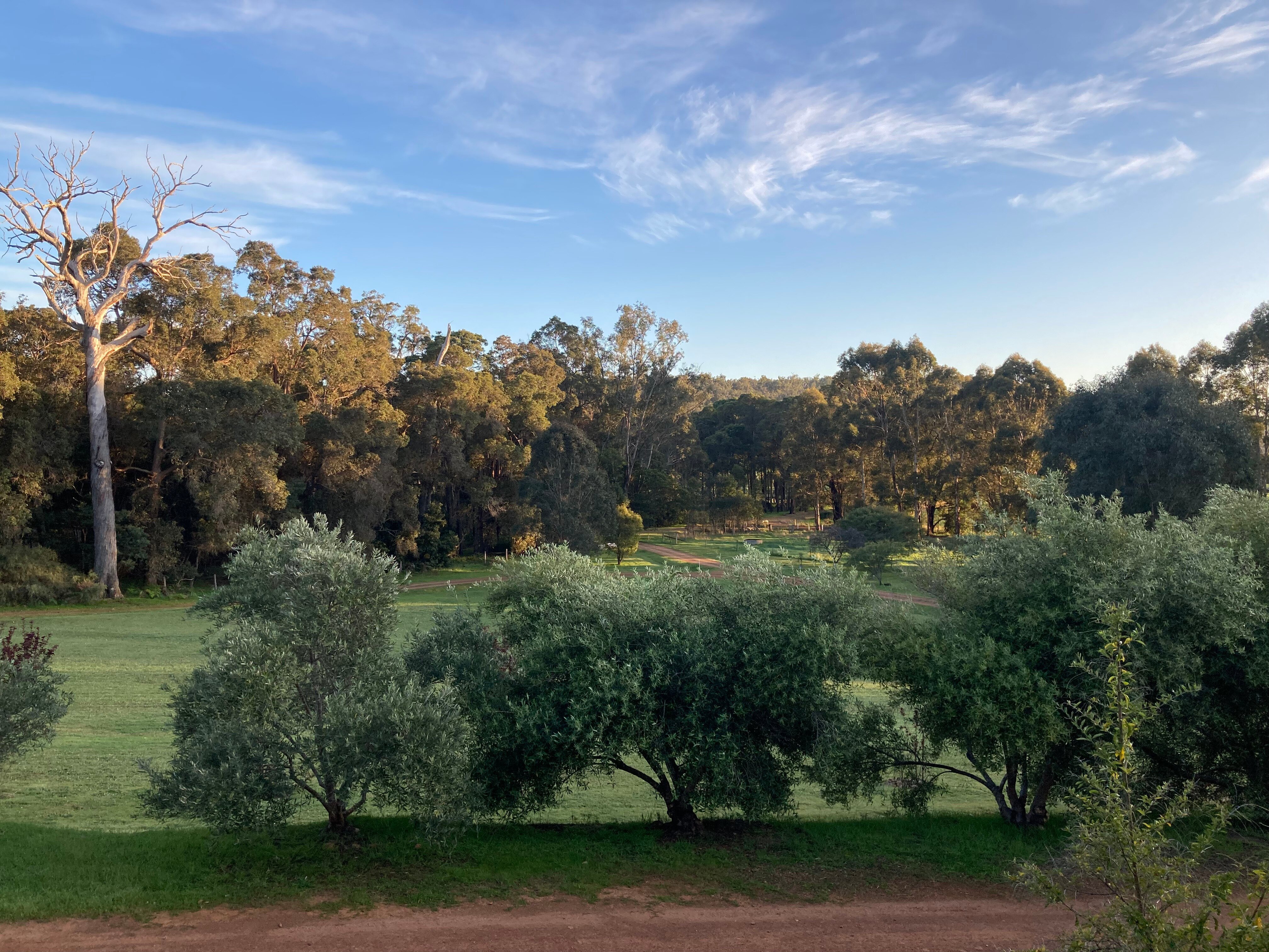 BLUE HOUSE B&B (Nannup, Australia): Prezzi E Recensioni (2024)