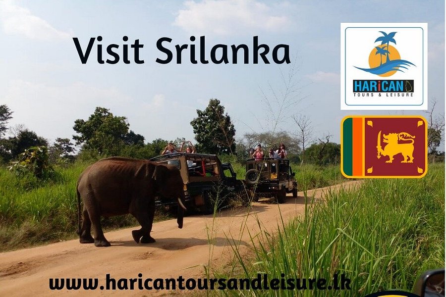 Harican Tours and Leisure image