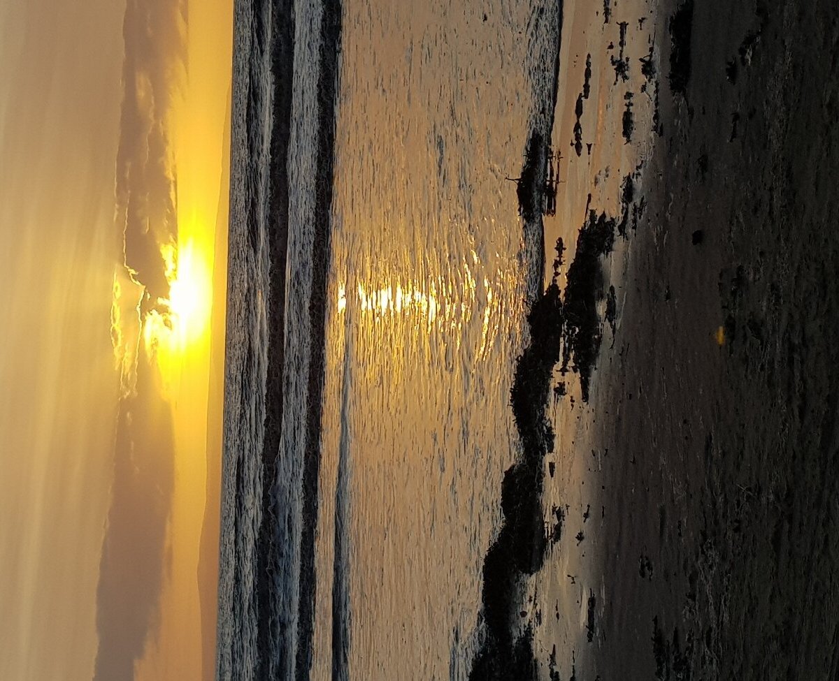 Brean Beach - Lohnt es sich? Aktuell für 2024 (Mit fotos)