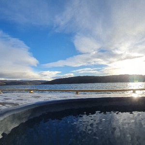 #Badestamp #wildlifefinnmark # magisk #varanger